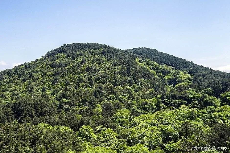 제주_삼의악오름 (2)