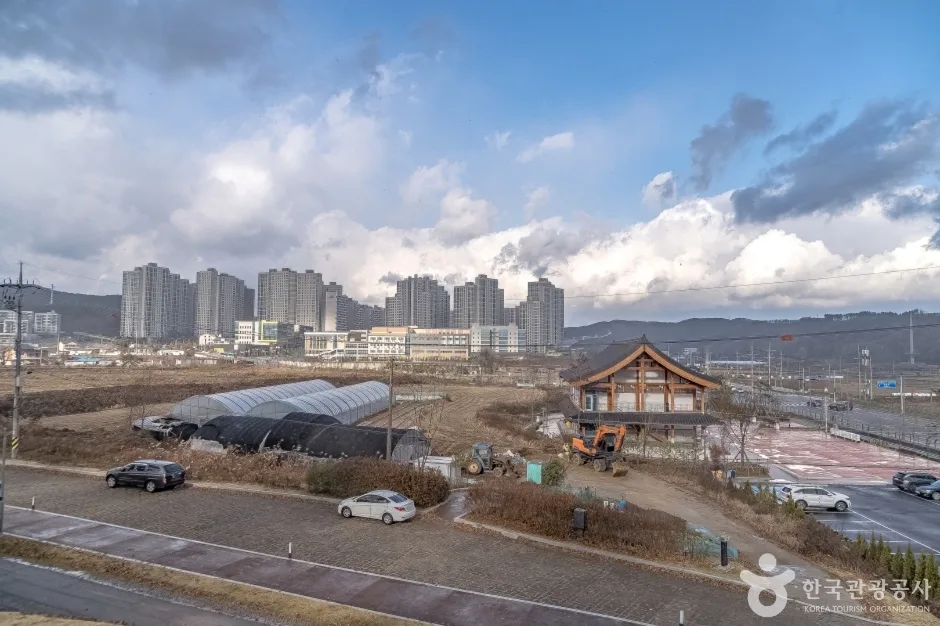 처인성 (15)