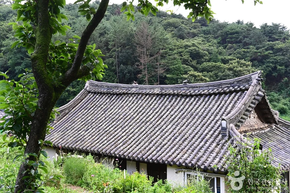 전남_순천_유룡마을 (10)
