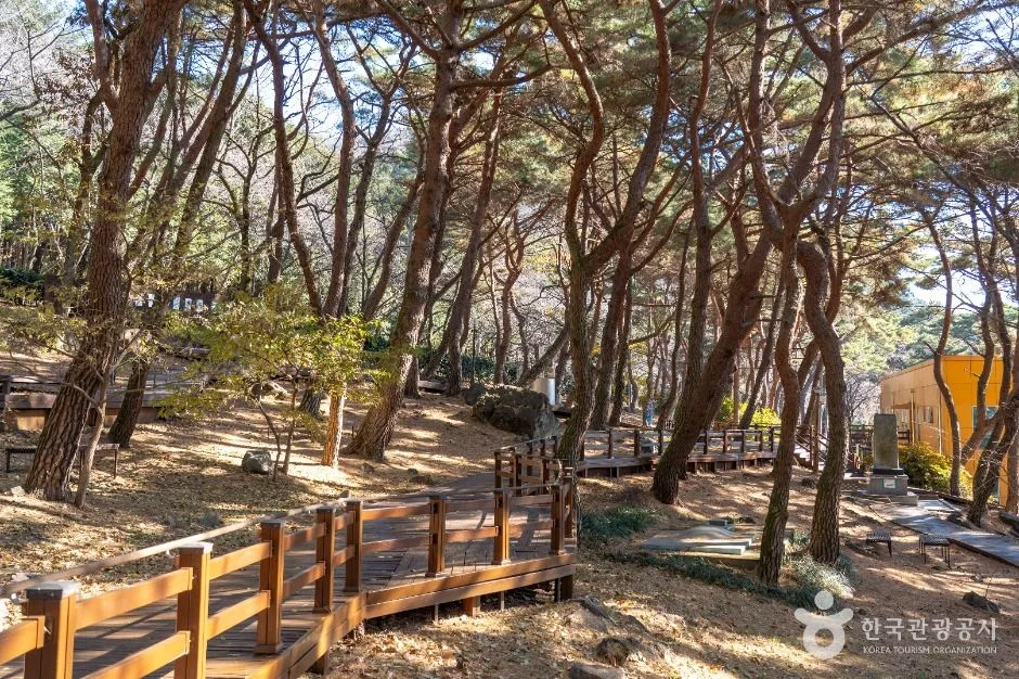 창원_장복산조각공원 (4)