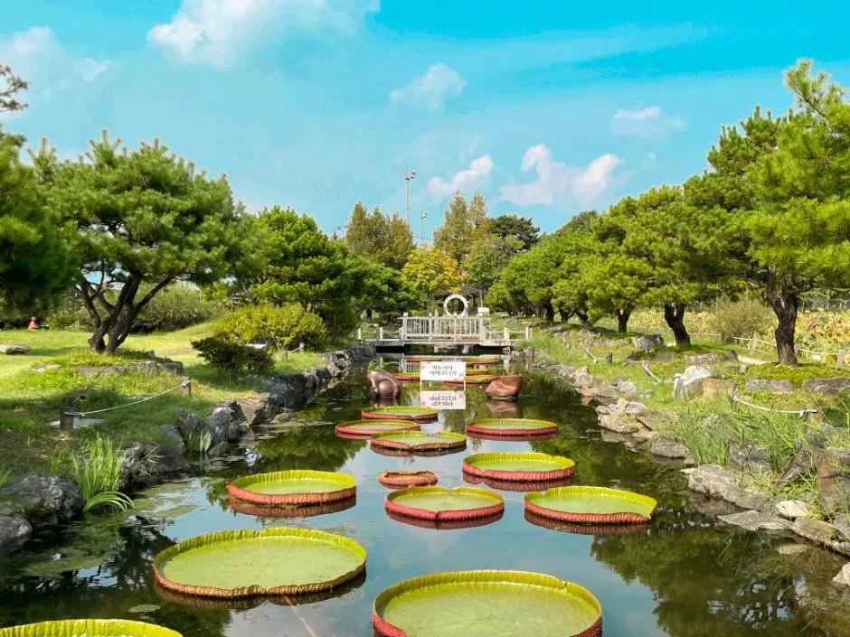 2026 세미원 수련문화제 (5).jpg