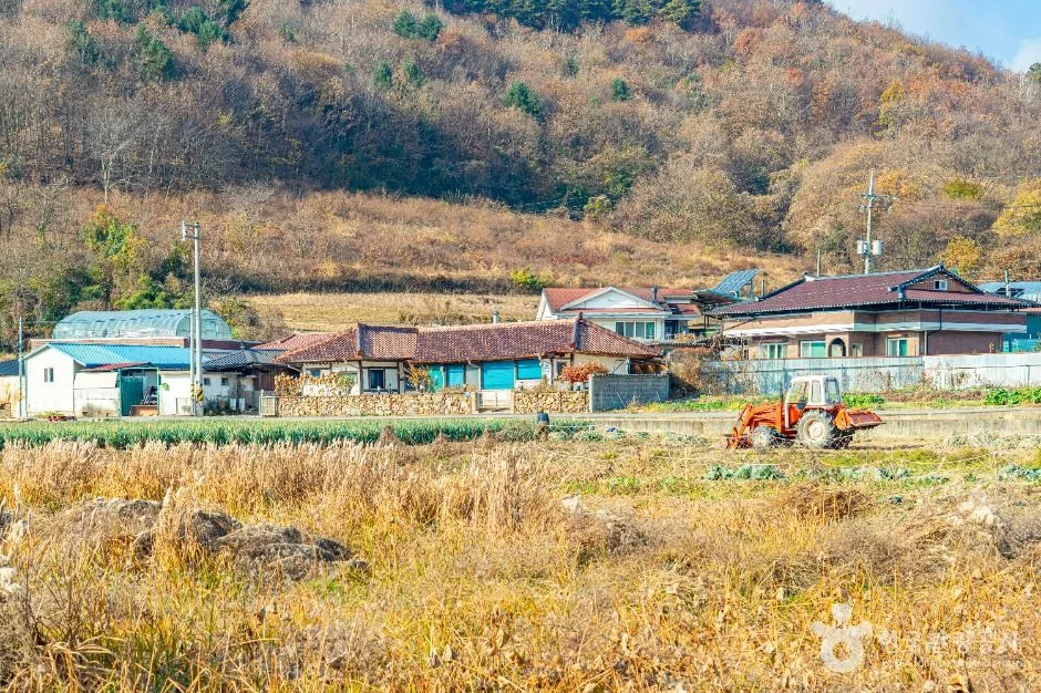 진안_원연장 꽃잔디마을 (11)