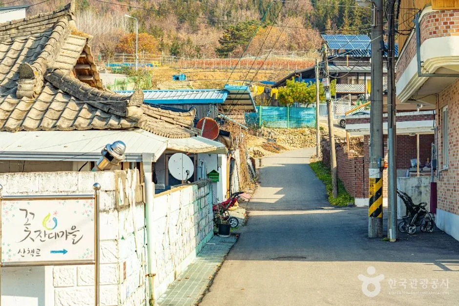 진안_원연장 꽃잔디마을 (6)