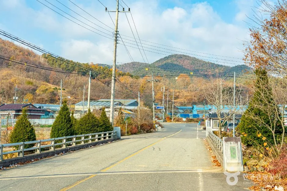 진안_원연장 꽃잔디마을 (8)