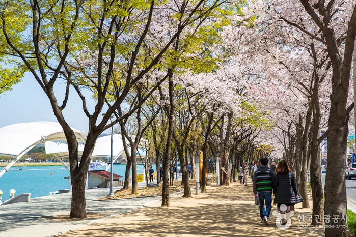 경북_대구_수성못 유원지_외부_7.jpg