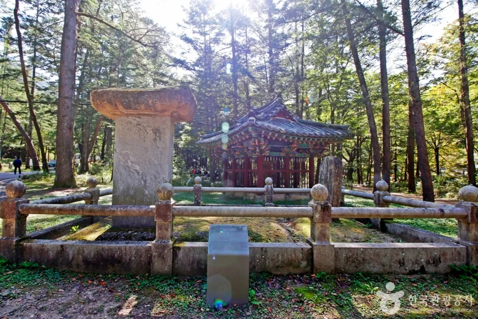 속리산 관광특구 (7)