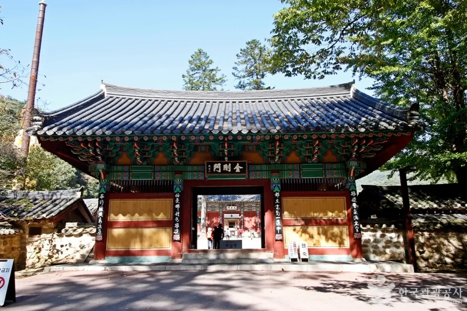 속리산 관광특구 (8)