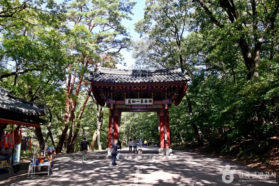 속리산 관광특구 (6)