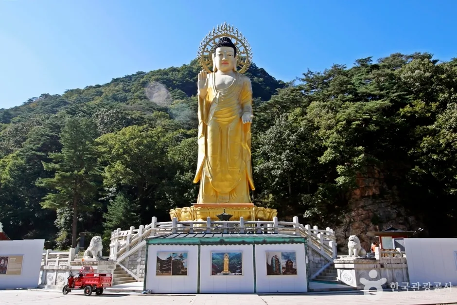 속리산 관광특구 (11)