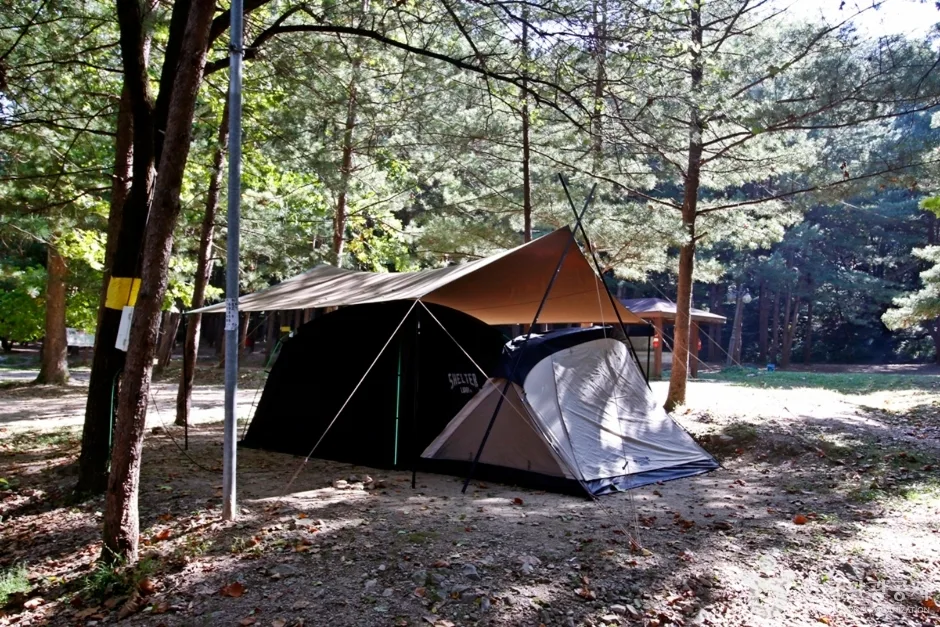 속리산 관광특구 (14)