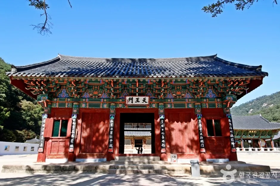 속리산 관광특구 (10)