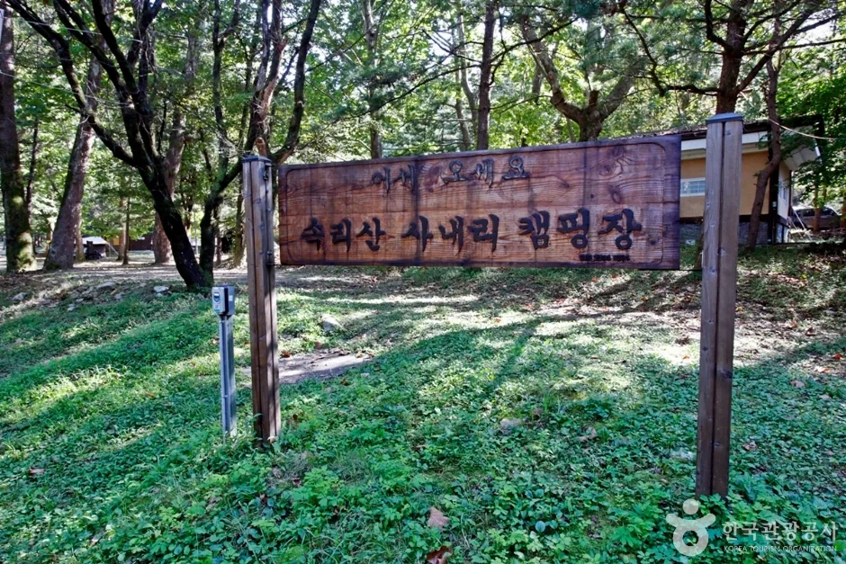 속리산 관광특구 (13)
