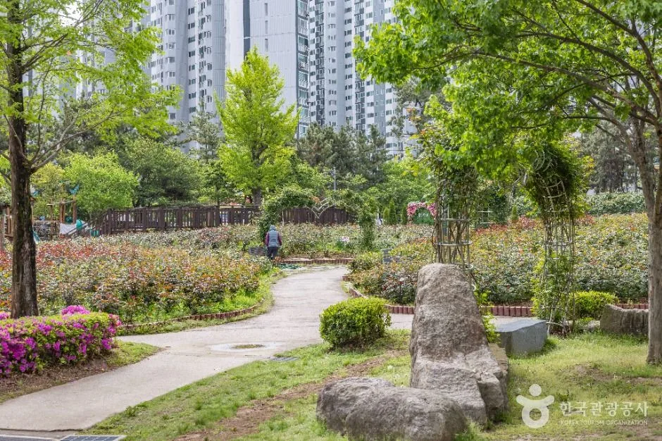 부산_장미원 (8)