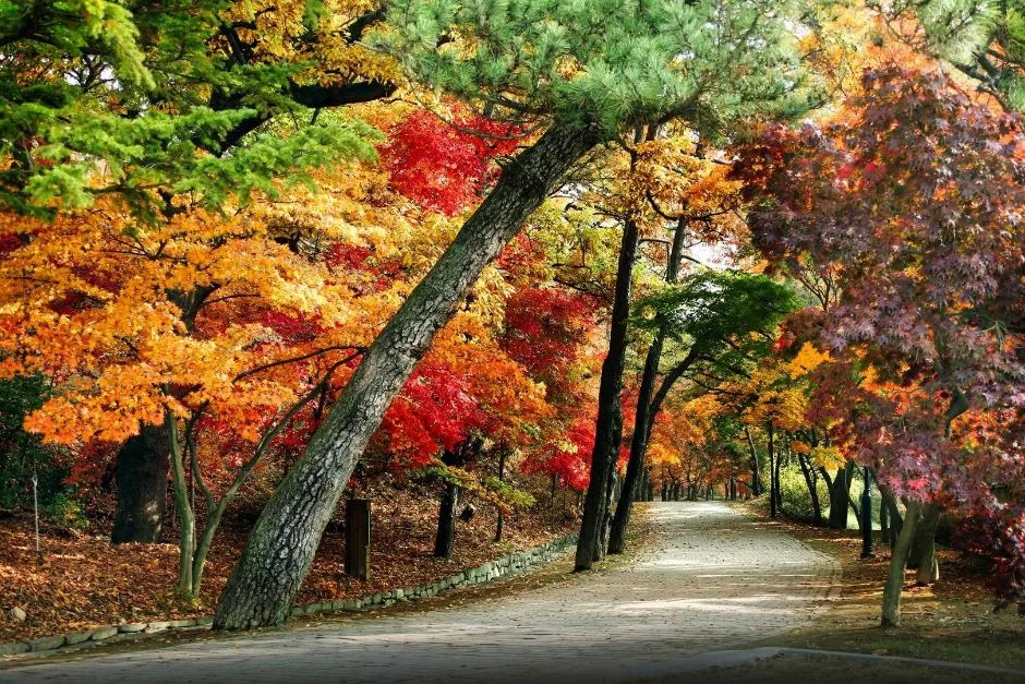 부소산 (4)