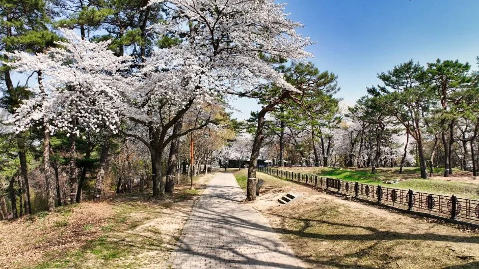부소산 (8)