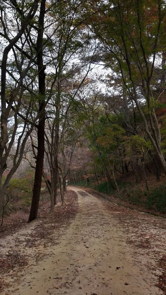 부소산 (18)