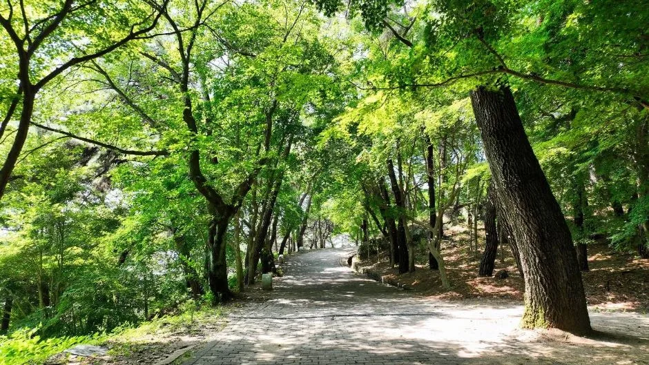 부소산 (12)