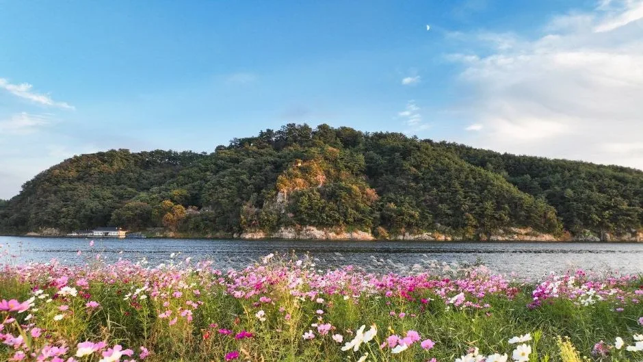 부소산 (5)