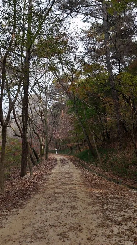 부소산 (17)