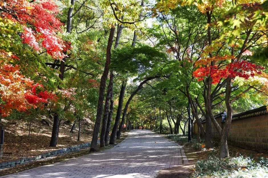 부소산 (2)