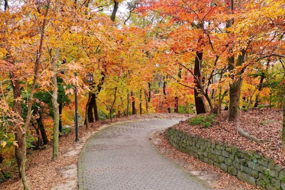 부소산 (15)