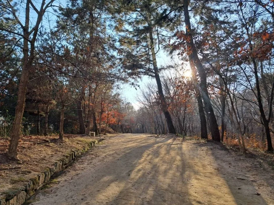 부소산 (22)