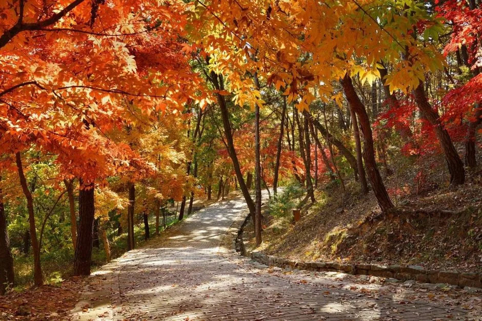 부소산 (25)
