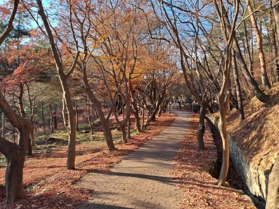 부소산 (23)