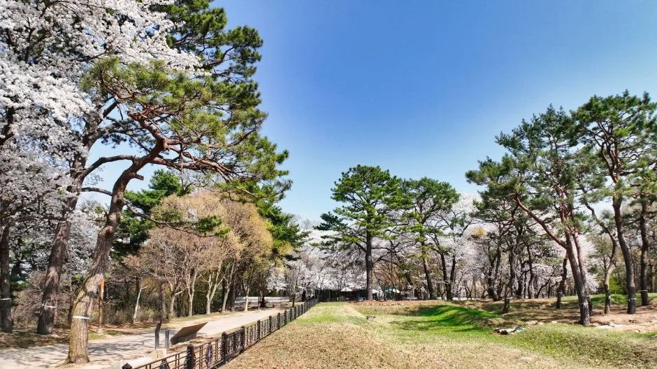 부소산 (9)