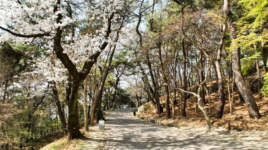 부소산 (10)