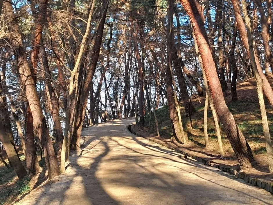 부소산 (21)