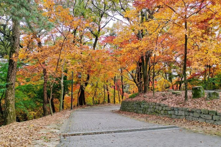 부소산 (14)
