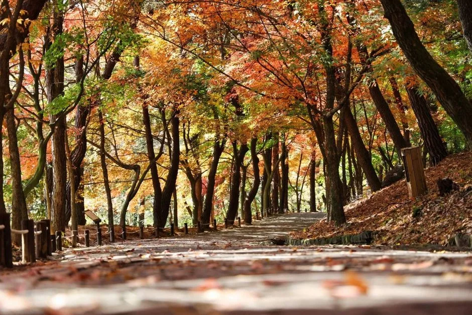 부소산 (3)