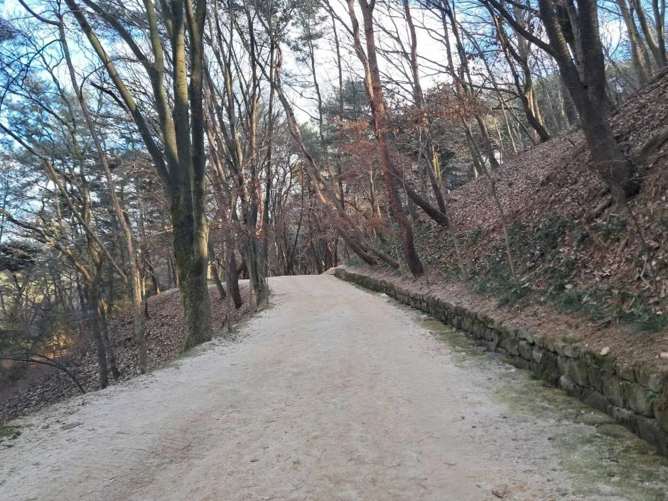 부소산 (20)