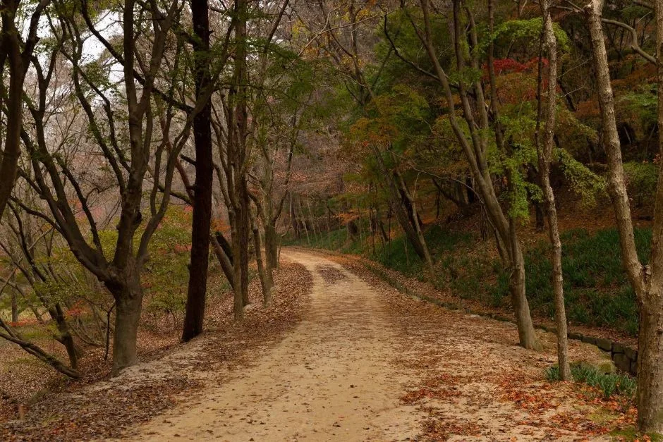 부소산 (16)