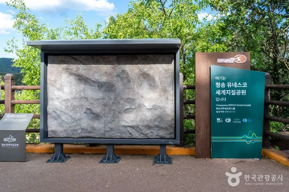 청송_신성리 공룡발자국 (청송 국가지질공원) (5)