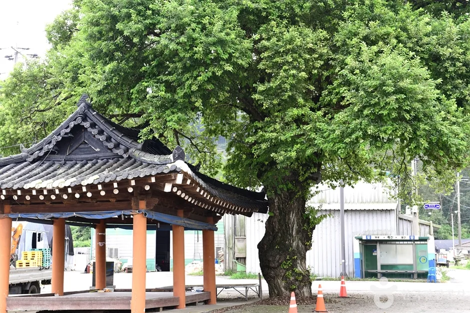전남_영광_지내들옹기돌탑공원 (2)