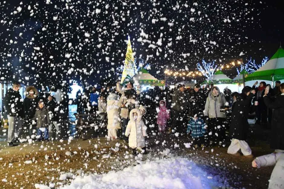 2026 함평 겨울빛축제 (8).JPG