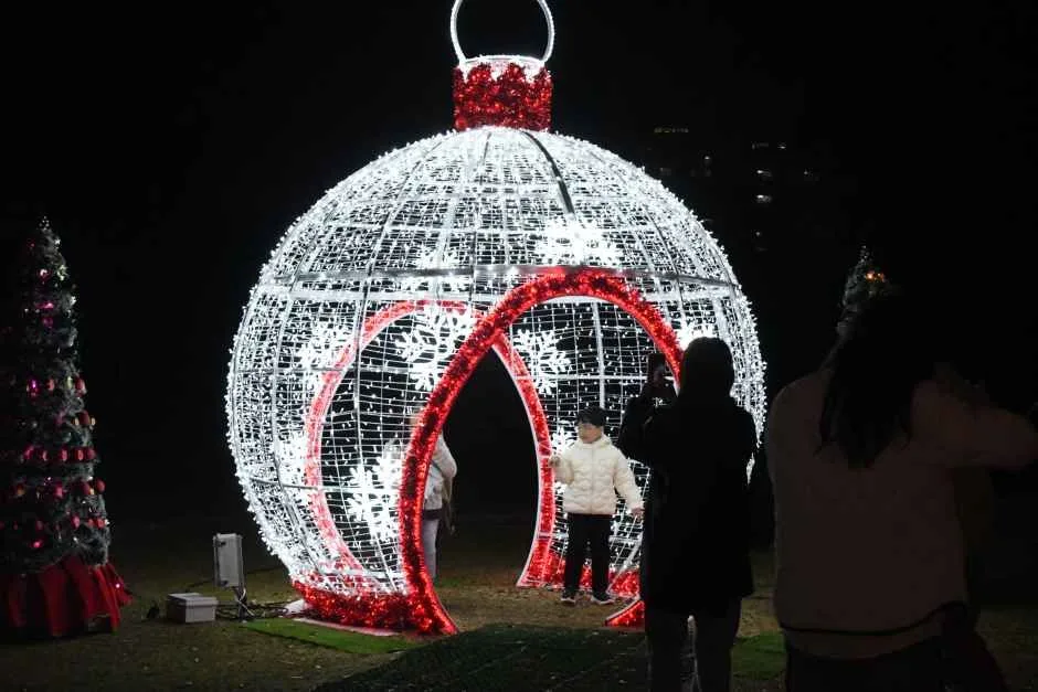 함평 겨울빛축제