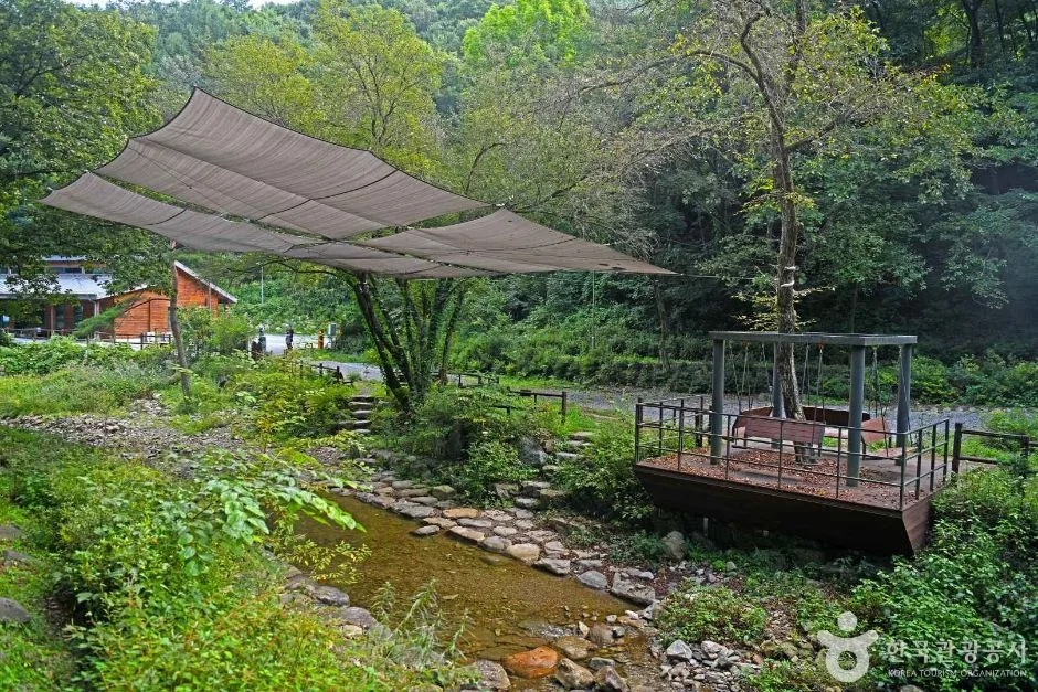영월_망경대산자연휴양림 (3)