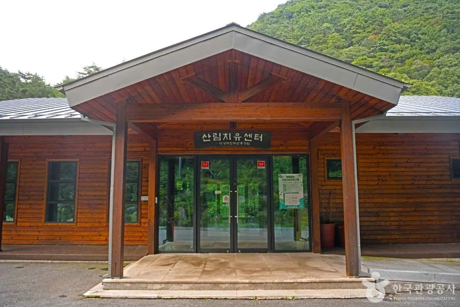 영월_망경대산자연휴양림 (6)
