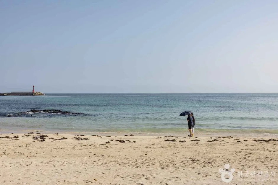 제주_평대해변 (11)