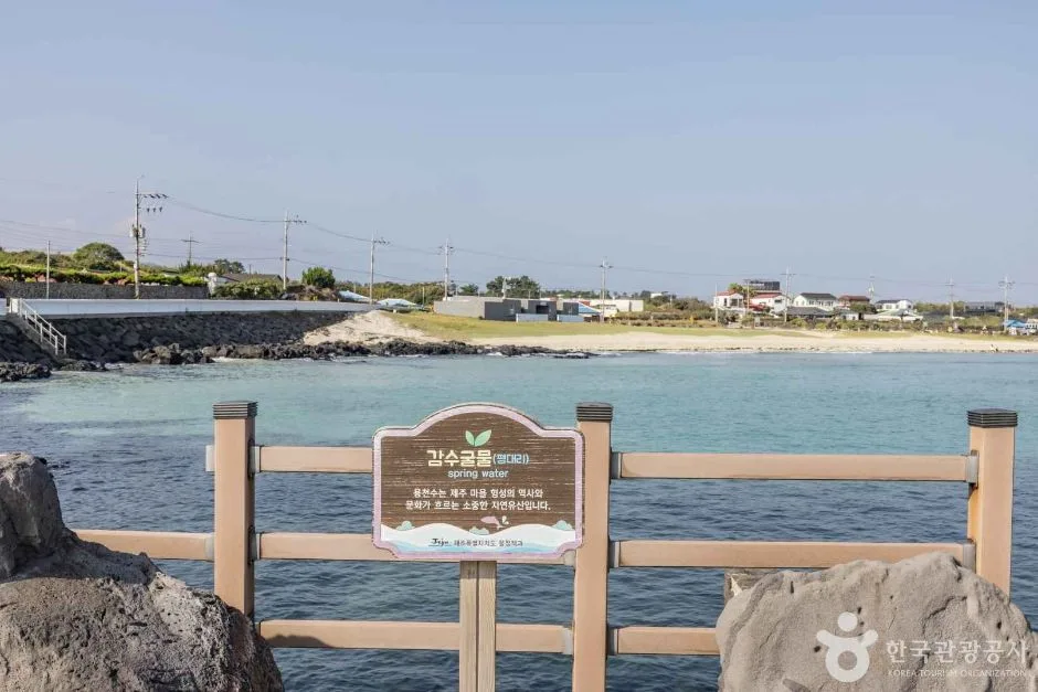 제주_평대해변 (6)