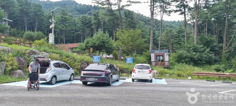 잣향기푸른숲_6