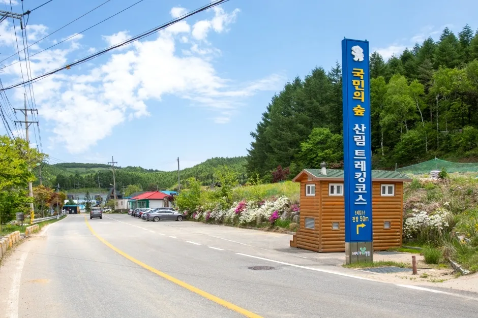 평창_국민의 숲 트레킹 코스 (10).JPG