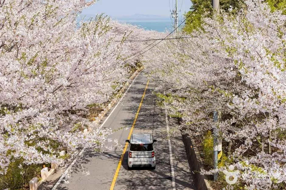 인천_옹진_장봉도 (2)
