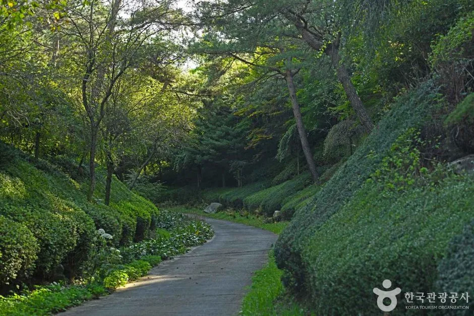 강원_홍천_척야산 문화수목원 (3)