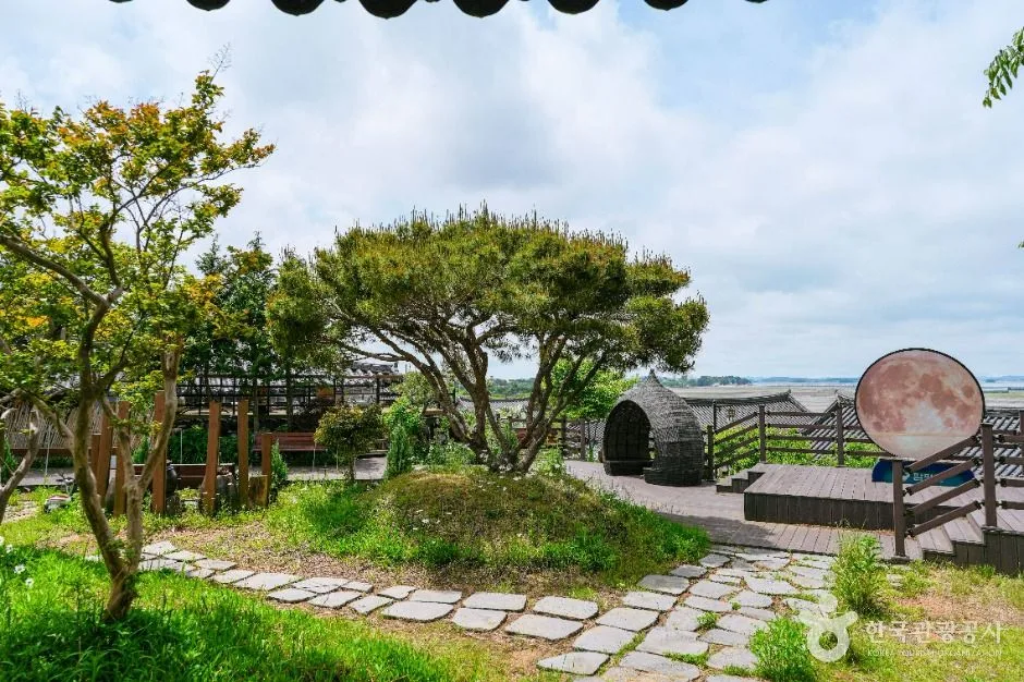 함평_억새밸리존 (2)