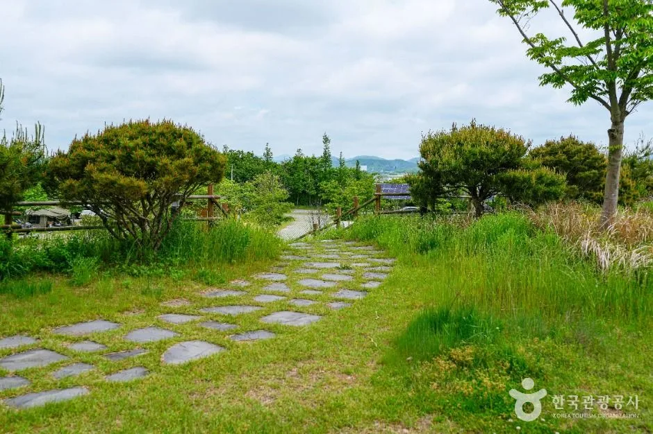 함평_억새밸리존 (1)