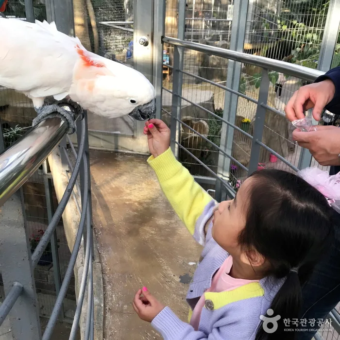 경주_경주 버드파크 (3).jpg